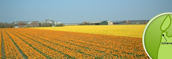 Hoeve ons lust